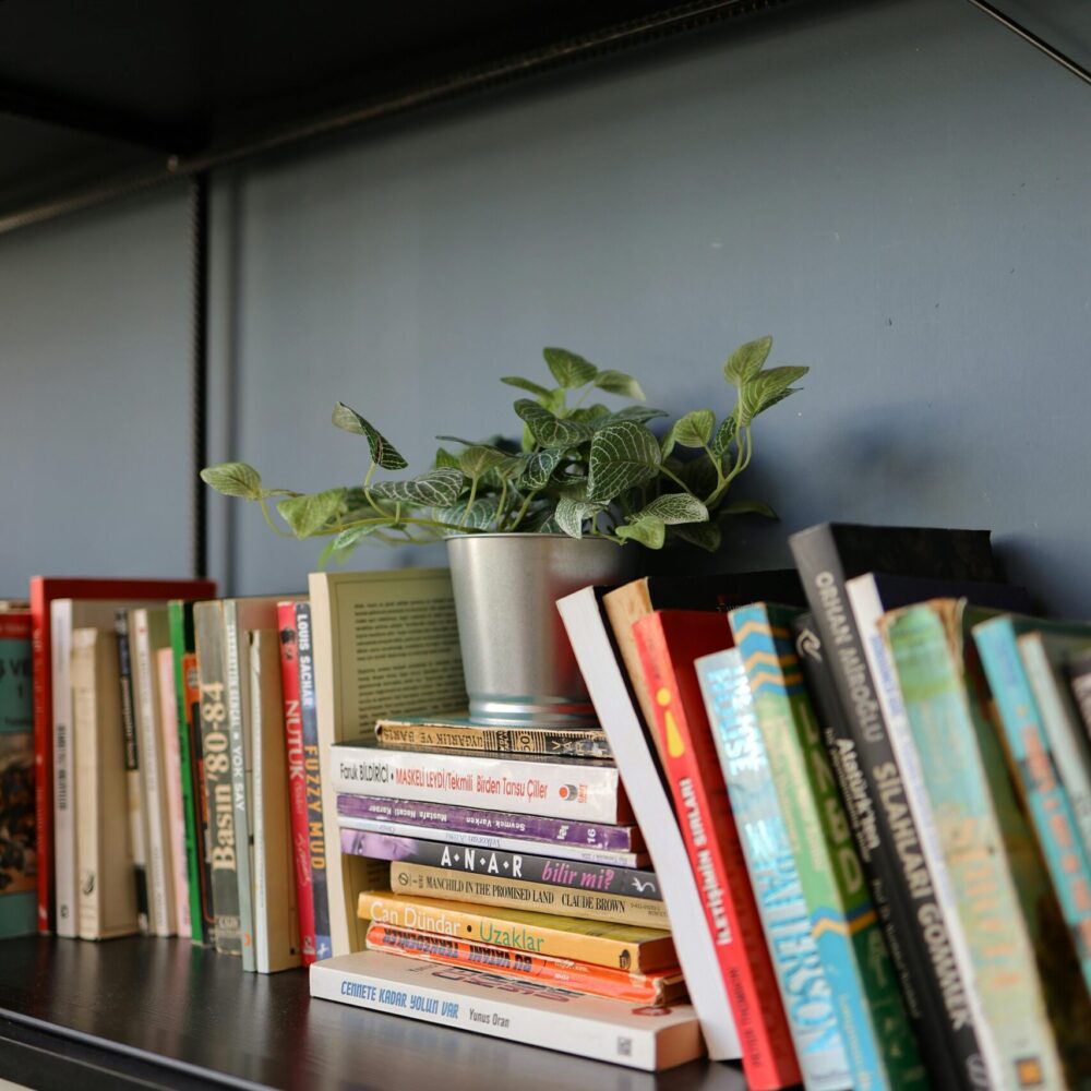 pexels-esra-afsar-123882149-32501325